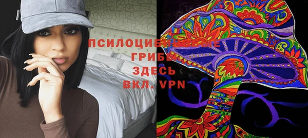 мдпв Дмитровск