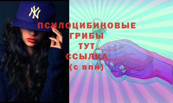 мдпв Дмитровск
